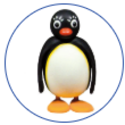 pingi pingi